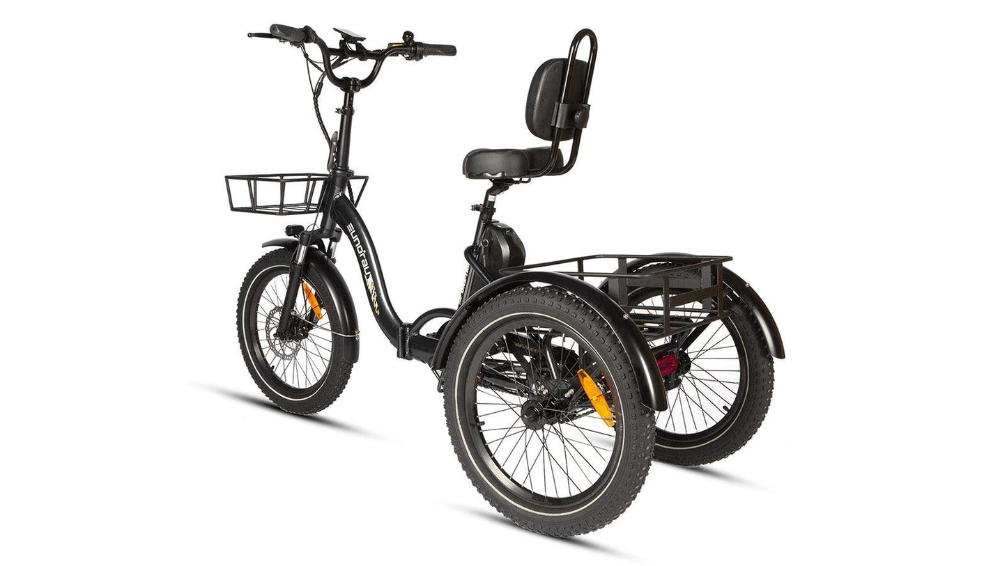 EUNORAU ONE-TRIKE Foldable Electric Trike - Wheels of America