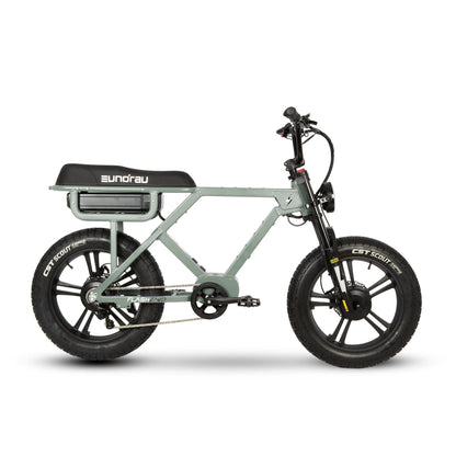 EUNORAU Flash Long Range Electric Bike - Wheels of America