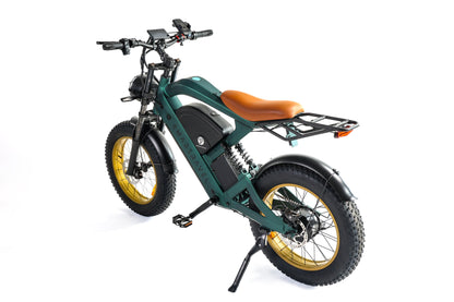 Smartravel Raptor ST202 | Long-Distance Electric Commuter Bike - Wheels of America