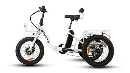 EUNORAU New Trike Electric Bike - Wheels of America