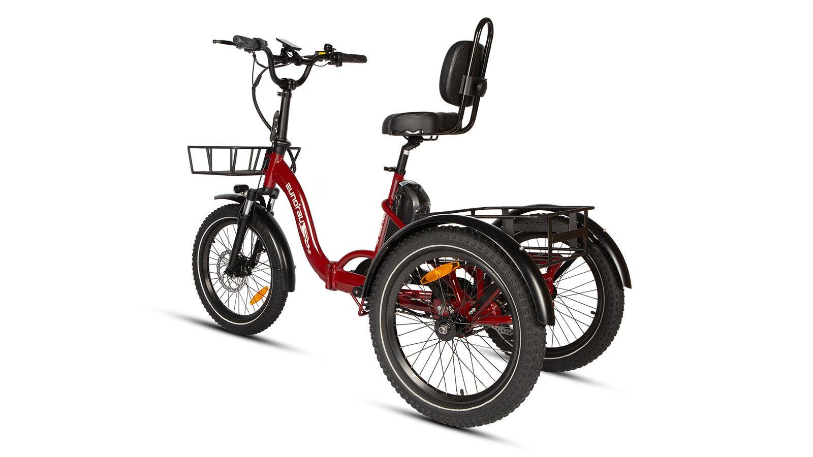 EUNORAU ONE-TRIKE Foldable Electric Trike - Wheels of America