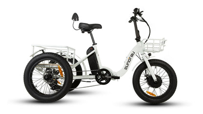 EUNORAU New Trike Electric Bike - Wheels of America