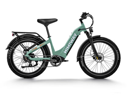 Himiway D5 ST (Zebra ST) | Premium All-terrain Electric Fat Bike - Wheels of America