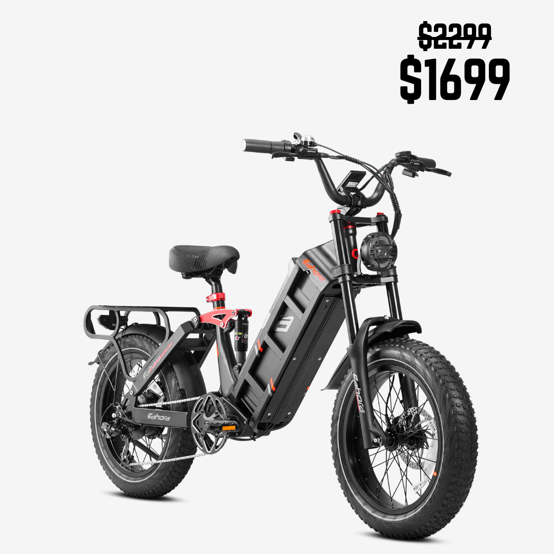 Eahora Juliet II Electric Bike | 52V 60Ah Battery | 34 MPH | All-Terrain Suspension - Wheels of America