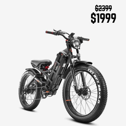 Eahora Romeo Pro Electric Bike | 48V 60Ah Battery | 34 MPH | Full Suspension - Wheels of America