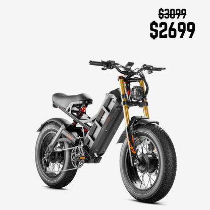 Eahora Romeo Pro II Dual-Motor Electric Bike | 52V 60Ah Battery | 44 MPH | Full Suspension - Wheels of America