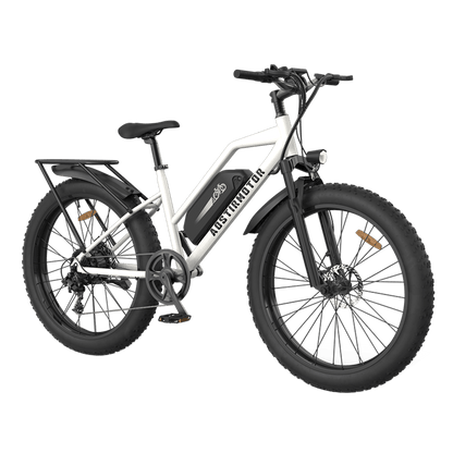 Aostirmotor Commuter Step Thru Electric Bike S07-G - Wheels of America