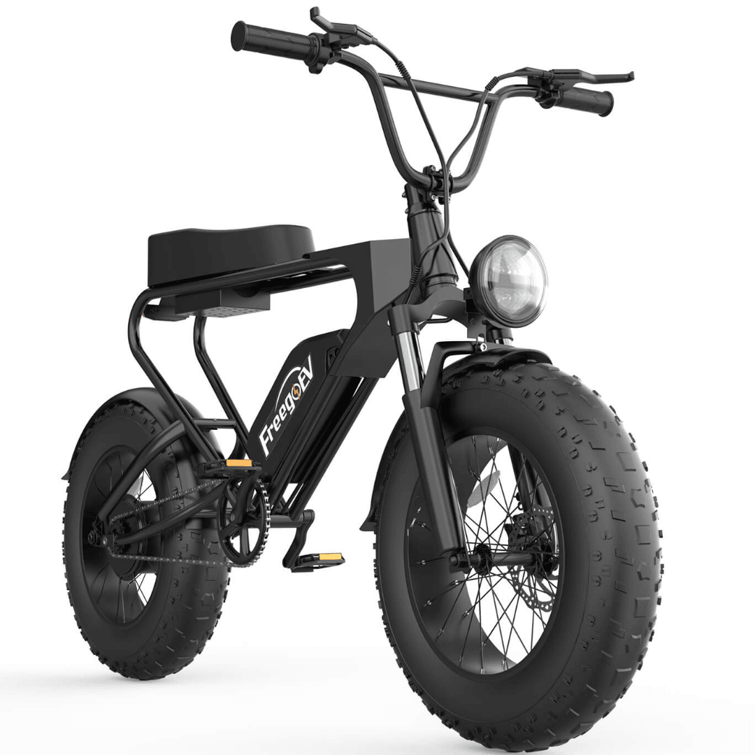 Freego DK200 Off Road Mountain Electric Bike 20'' Fat tires 20Ah Lithium Battery - Wheels of America