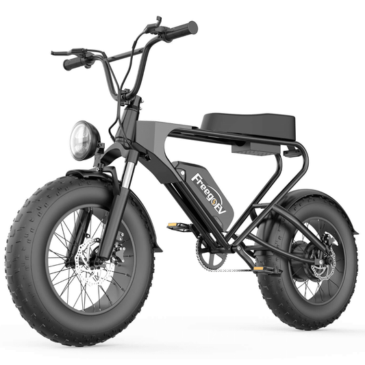 Freego DK200 Off Road Mountain Electric Bike 20'' Fat tires 20Ah Lithium Battery - Wheels of America