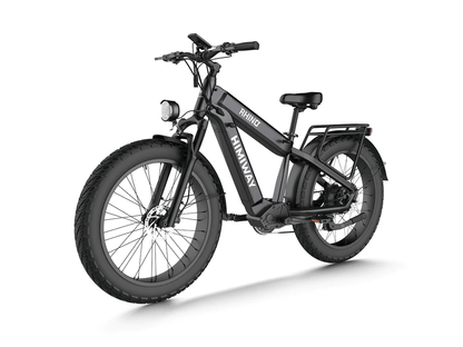 Himiway D5 Plus (Rhino) | Hub Motor | Off-road Electric Bike - Wheels of America