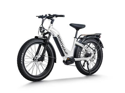 Himiway D5 Pro ST | Premium All-terrain Electric Fat Bike - Wheels of America