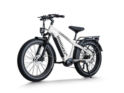 Himiway D5 Pro | Premium All-terrain Electric Fat Bike - Wheels of America