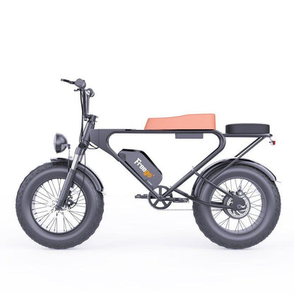 Freego DK200 Off Road Mountain Electric Bike 20'' Fat tires 20Ah Lithium Battery - Wheels of America