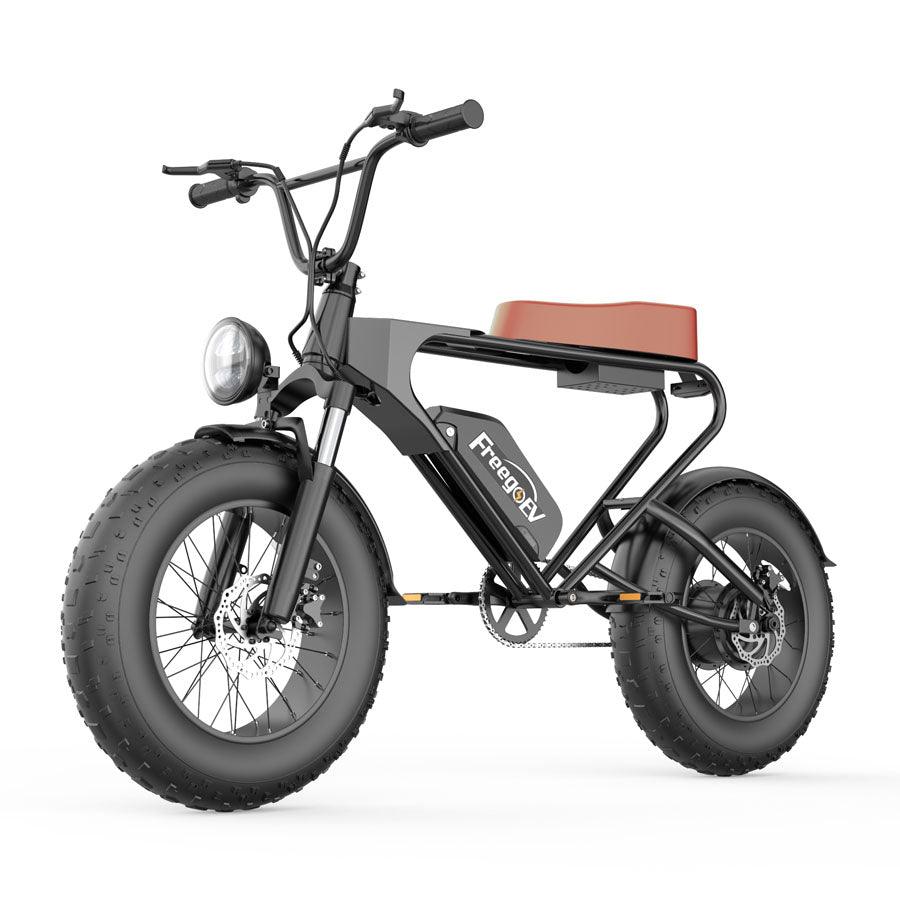 Freego DK200 Off Road Mountain Electric Bike 20'' Fat tires 20Ah Lithium Battery - Wheels of America