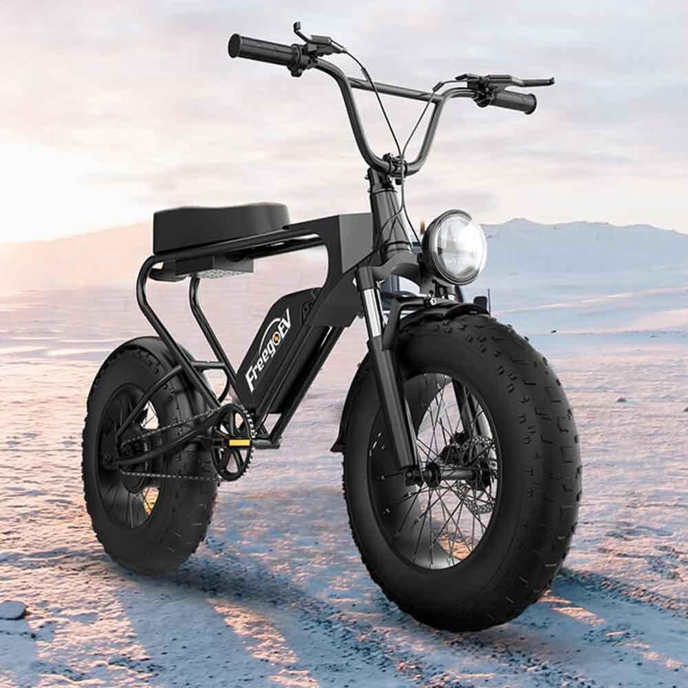 Freego DK200 Off Road Mountain Electric Bike 20'' Fat tires 20Ah Lithium Battery - Wheels of America