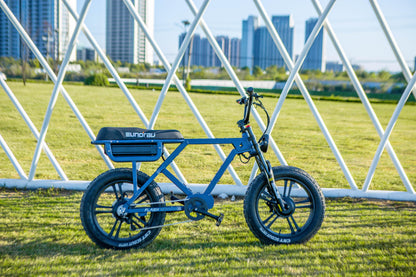 EUNORAU Flash Long Range Electric Bike - Wheels of America