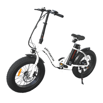 Aostirmotor 500W Low Step Fat Tire G20 - Wheels of America