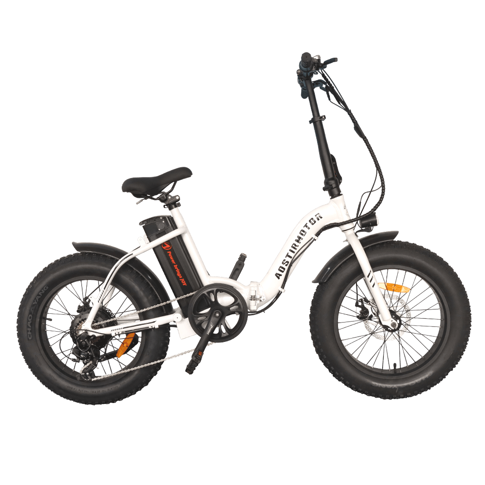 Aostirmotor 500W Low Step Fat Tire G20 - Wheels of America