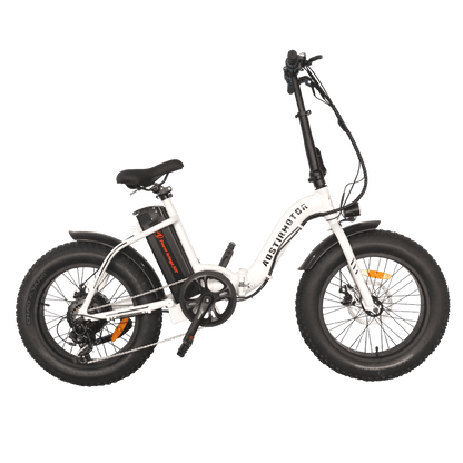 Aostirmotor 500W Low Step Fat Tire G20 - Wheels of America