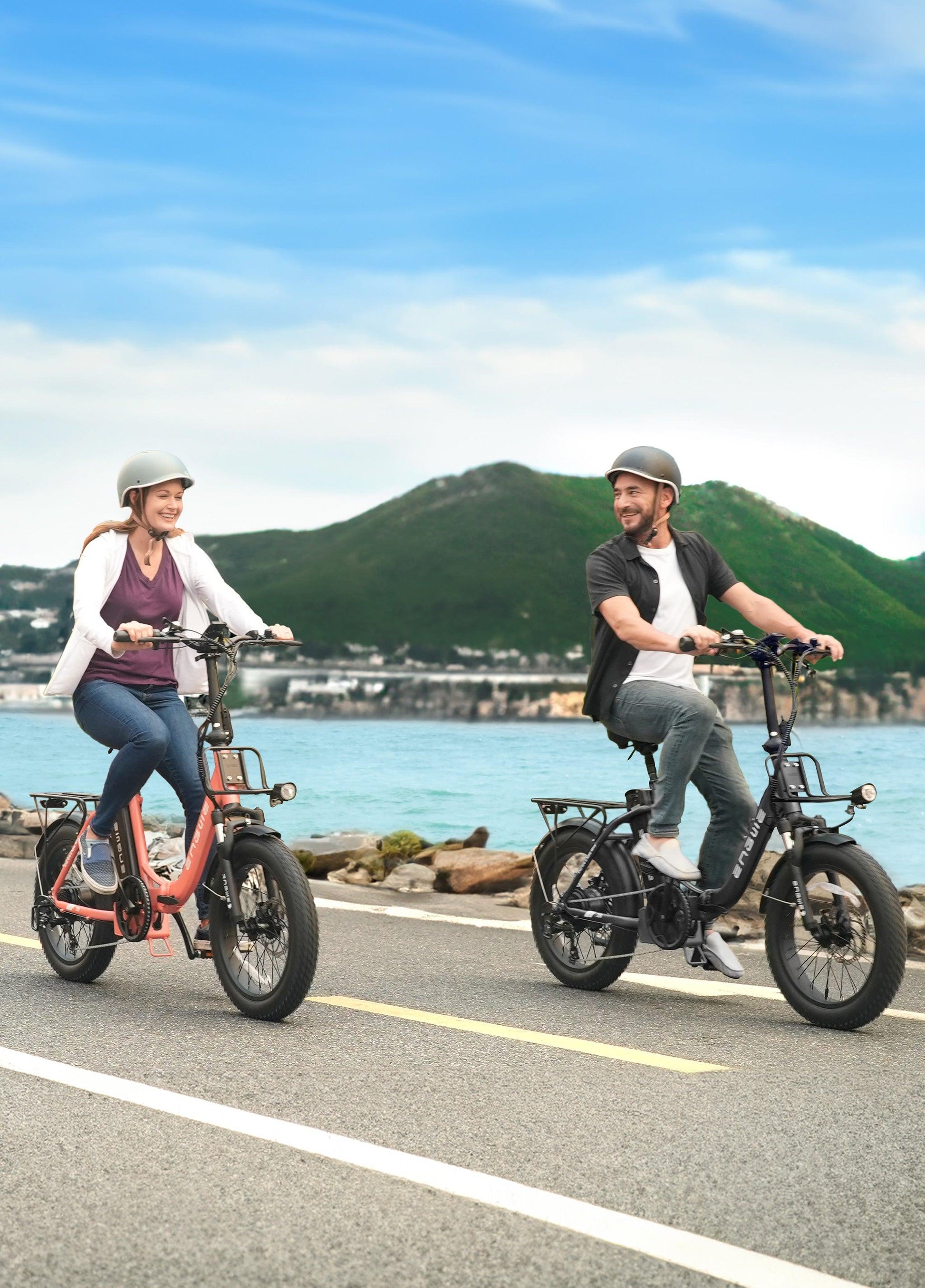 ENGWE L20 2.0 Folding Electric Bike - Wheels of America