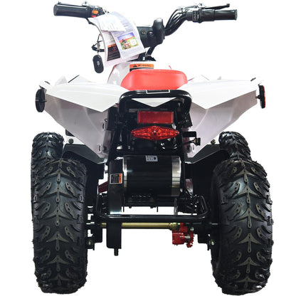 MotoTec E-Bully 36v 1000w ATV - Wheels of America