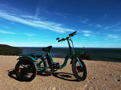 EUNORAU New Trike Electric Bike - Wheels of America