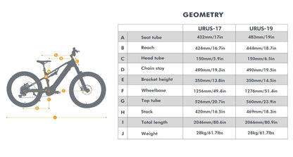 EUNORAU URUS All-Terrain Mountain E-Bike - Wheels of America