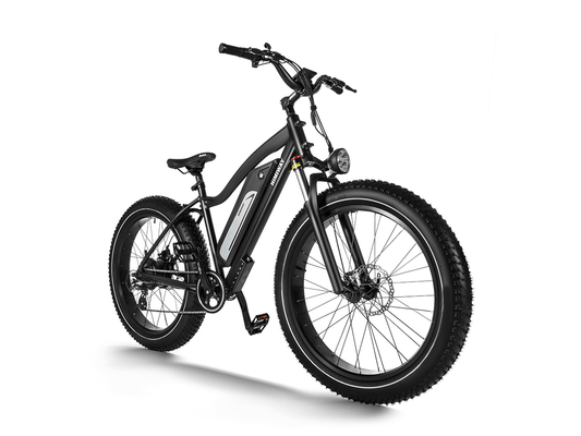 Himiway D3 (Cruiser) | Long Range Fat Tire Electric Bike - Wheels of America