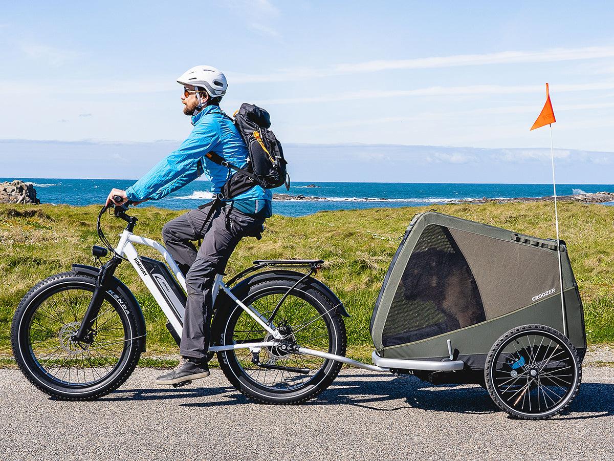 Himiway D3 ST (Cruiser ST) | All Terrain Step Thru Electric Bike - Wheels of America