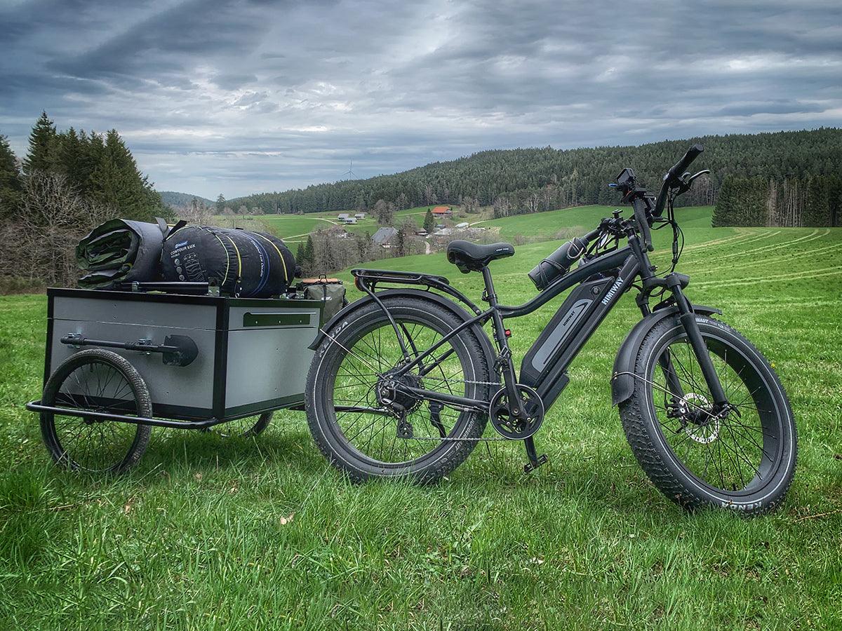 Himiway D3 (Cruiser) | Long Range Fat Tire Electric Bike - Wheels of America