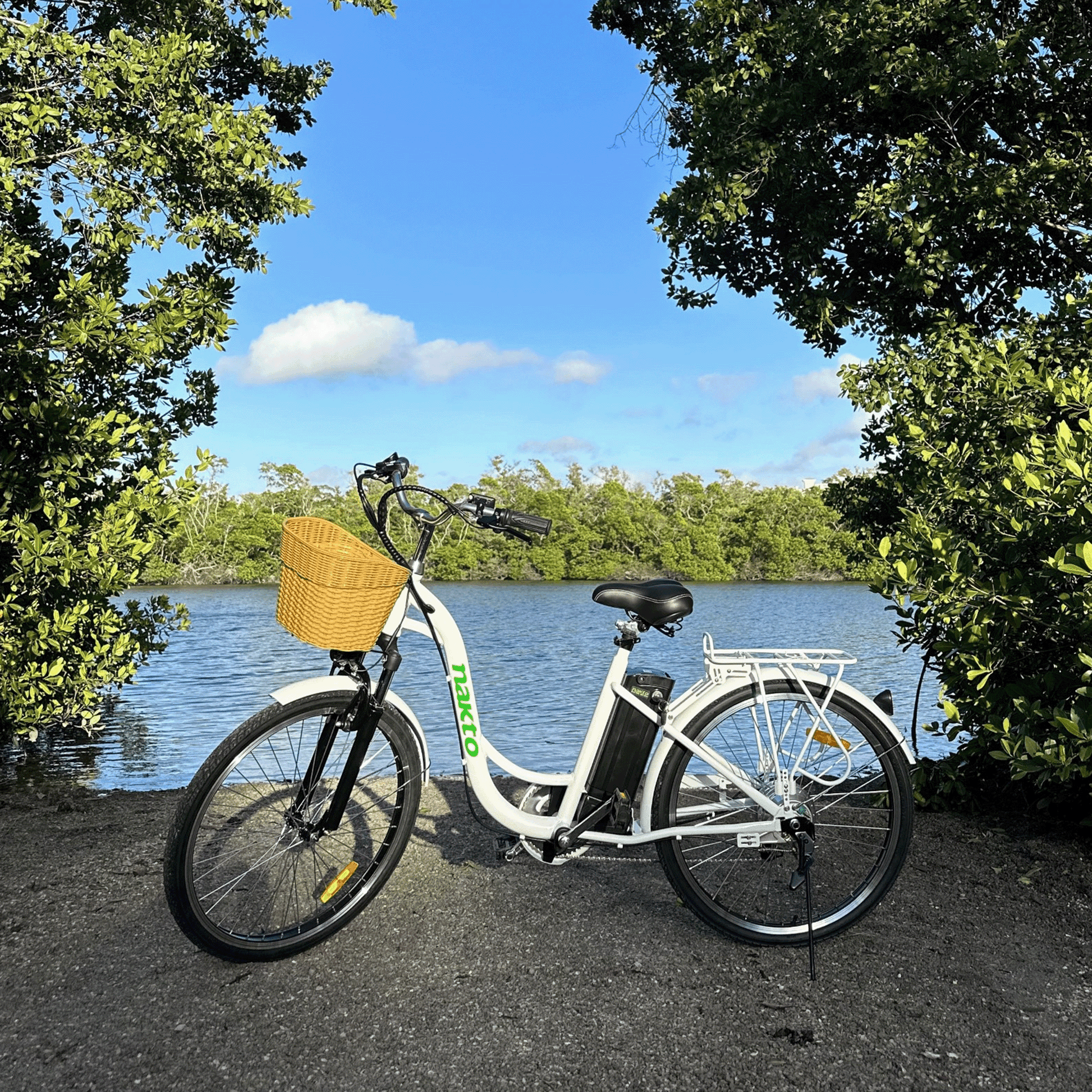 Nakto Camel Step-Thru Electric Bike - Wheels of America