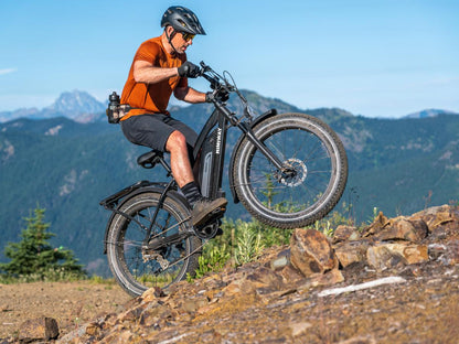 Himiway D3 (Cruiser) | Long Range Fat Tire Electric Bike - Wheels of America