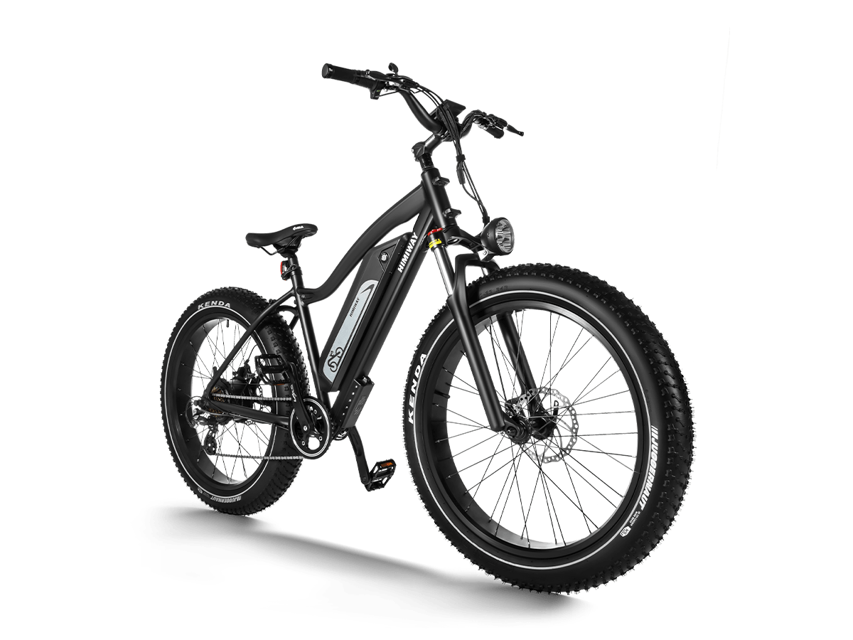 Himiway D3 (Cruiser) | Long Range Fat Tire Electric Bike - Wheels of America