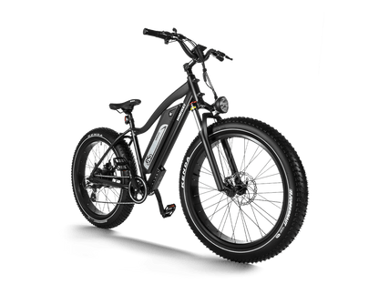 Himiway D3 (Cruiser) | Long Range Fat Tire Electric Bike - Wheels of America