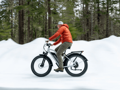 Himiway D3 ST (Cruiser ST) | All Terrain Step Thru Electric Bike - Wheels of America