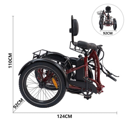 EUNORAU ONE-TRIKE Foldable Electric Trike - Wheels of America