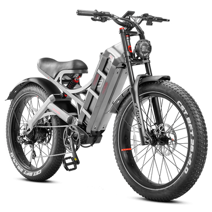 Eahora Romeo Pro Electric Bike | 48V 60Ah Battery | 34 MPH | Full Suspension - Wheels of America