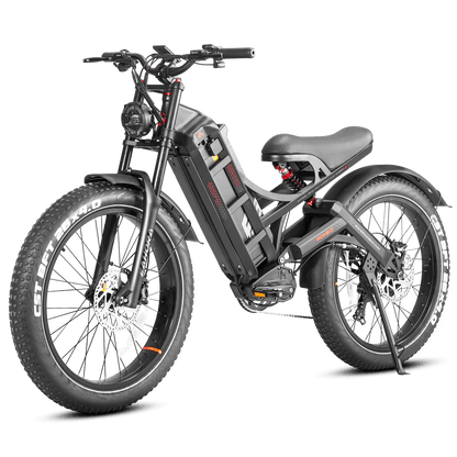 Eahora Romeo Pro Electric Bike | 48V 60Ah Battery | 34 MPH | Full Suspension - Wheels of America