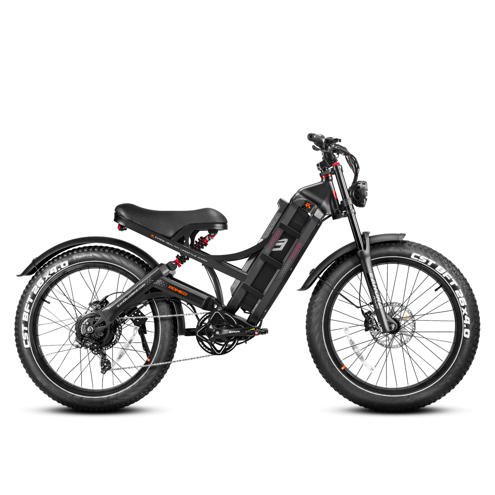 Eahora Romeo Pro Electric Bike | 48V 60Ah Battery | 34 MPH | Full Suspension - Wheels of America