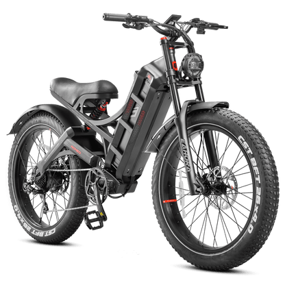 Eahora Romeo Pro Electric Bike | 48V 60Ah Battery | 34 MPH | Full Suspension - Wheels of America